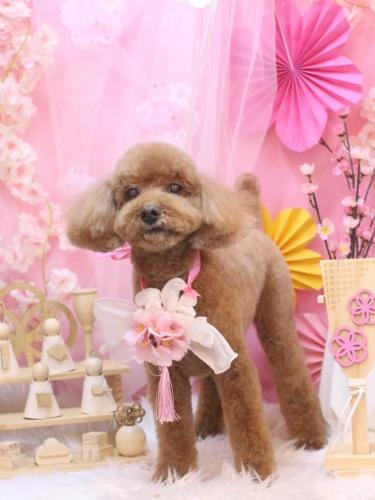 20250323レオくん